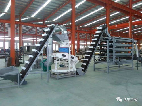 青島楓林花生機械 專業(yè)機械設(shè)備，驅(qū)動產(chǎn)業(yè)升級